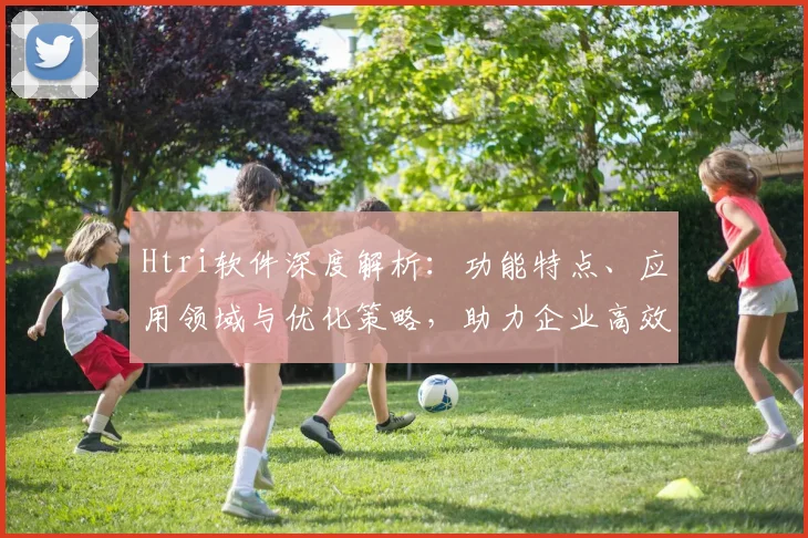 Htri软件深度解析：功能特点、应用领域与优化策略，助力企业高效管理三步走