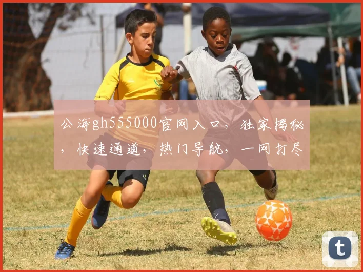 公海gh555000官网入口，独家揭秘，快速通道，热门导航，一网打尽