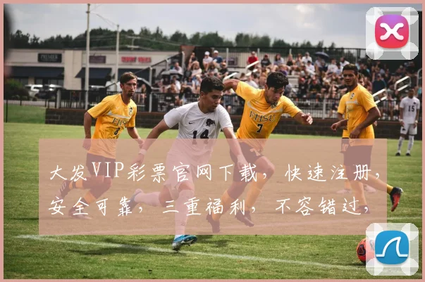 大发VIP彩票官网下载，快速注册，安全可靠，三重福利，不容错过，立即下载体验